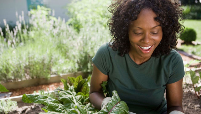 Garden your way to wellbeing