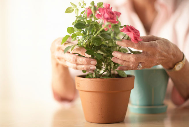 Altruism is good for our health