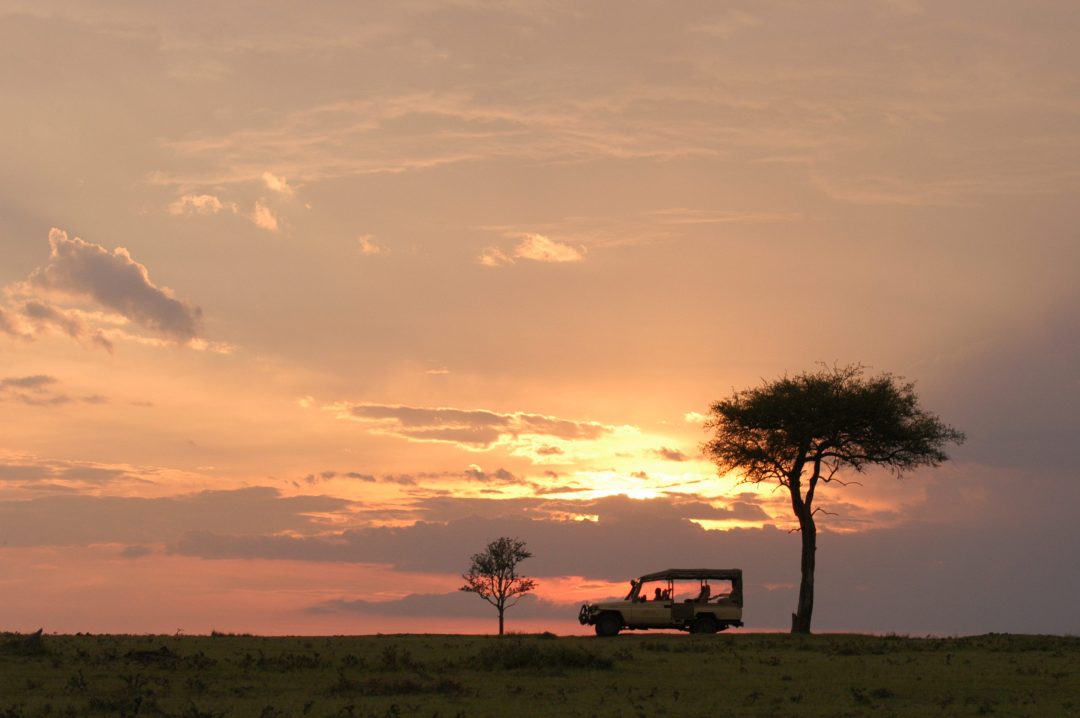 Sunshine, safari and the Seychelles