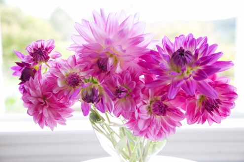 Flowers at home will benefit you at work