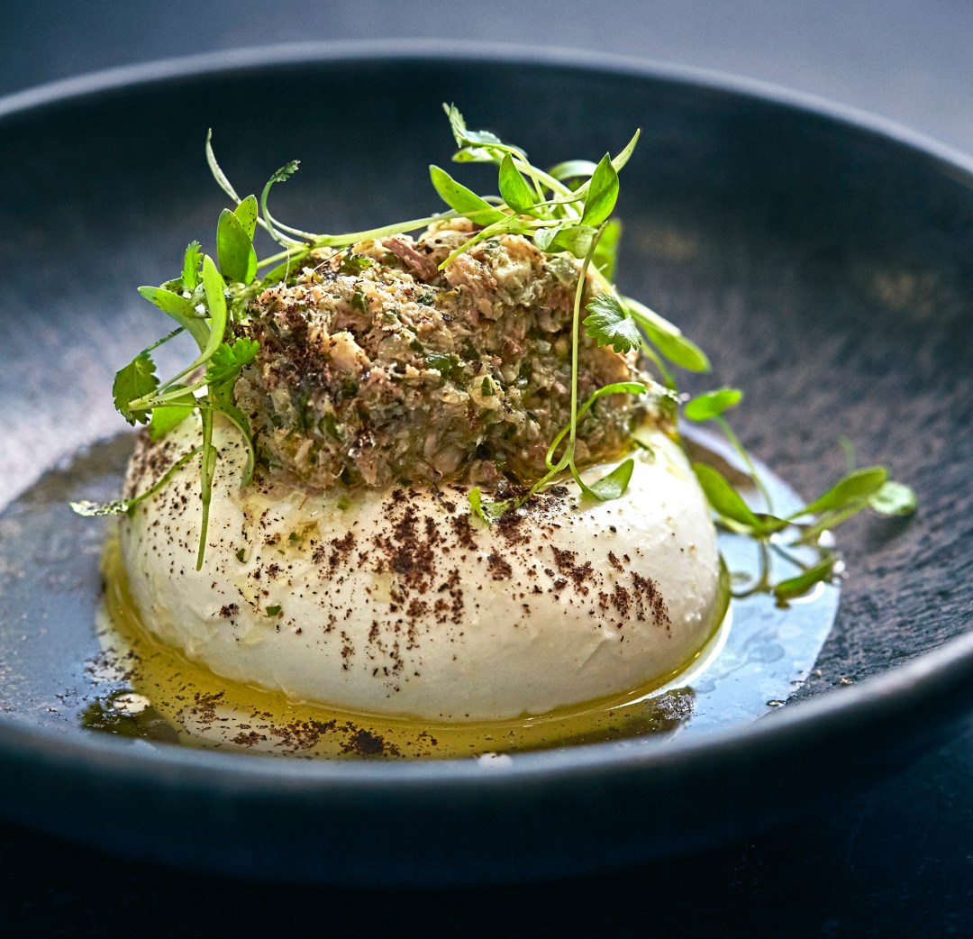 Mozzarella and Sardine Vinaigrette
