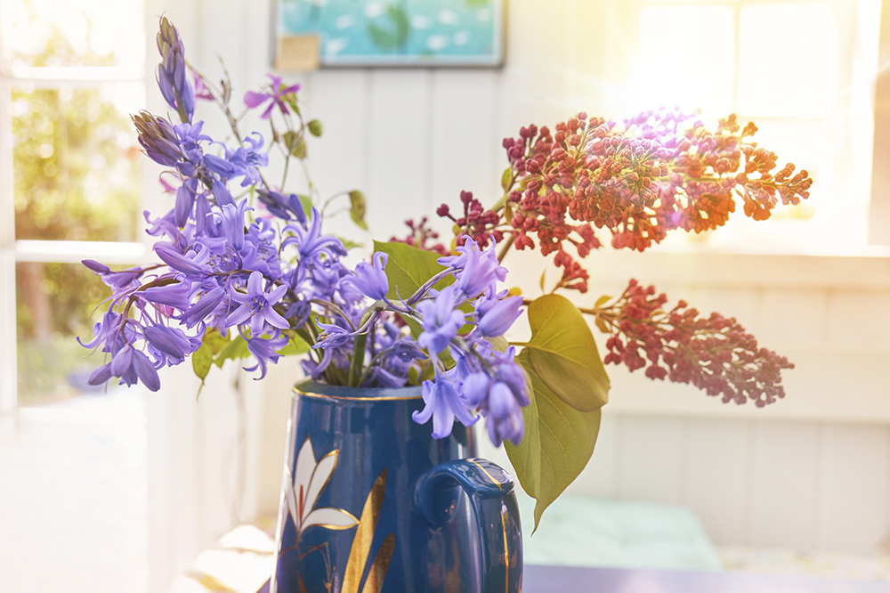 The power of flowers to enhance wellbeing