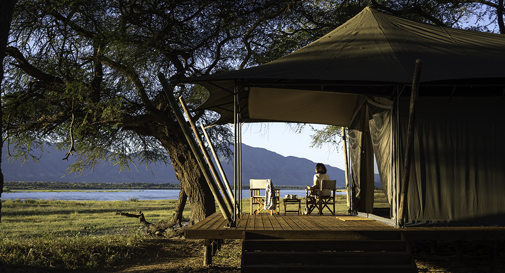 Eco escapes: safari magic