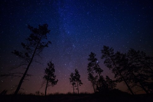 Make memories: spend an evening stargazing