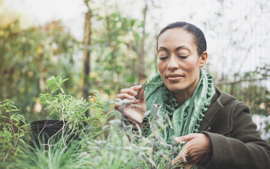 Natural solutions to help manage stress