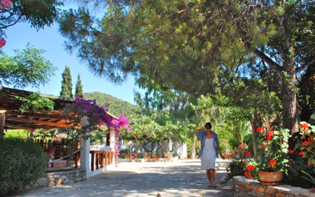 Creative beginnings with Skyros