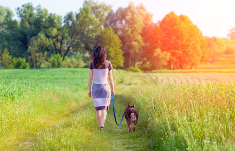 Mindful dog walking: create calmer walks for you & your dog