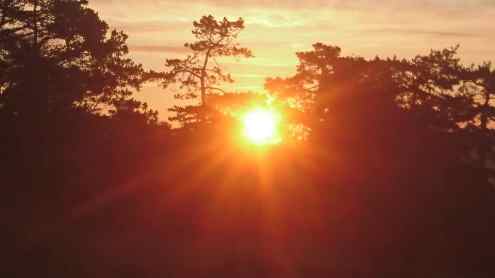 Sun Worship – why we need more sun