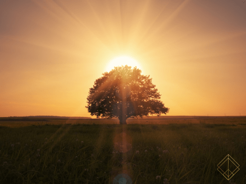 3 Steps to a success mindset