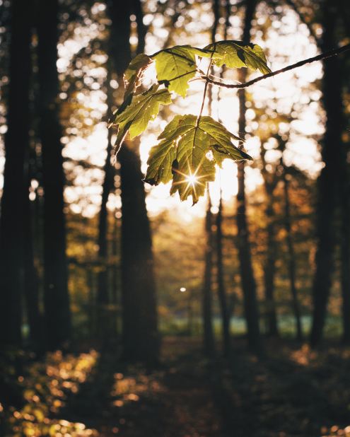 How to be more compassionate to yourself