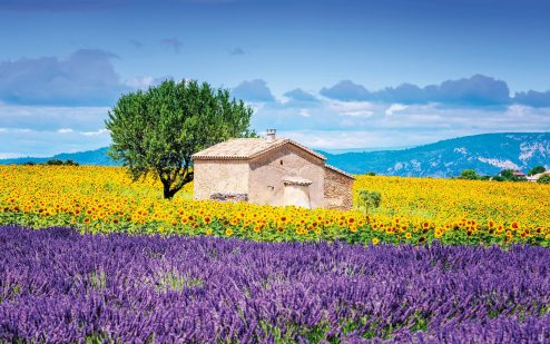 Lyrical retreats in France for mind and body