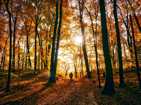 5 ways nature can help you beat the winter blues.