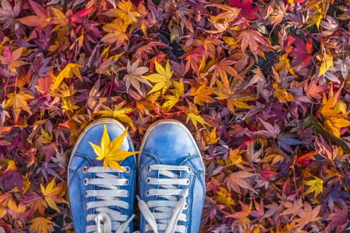 Tips for staying active during the autumn lock-down