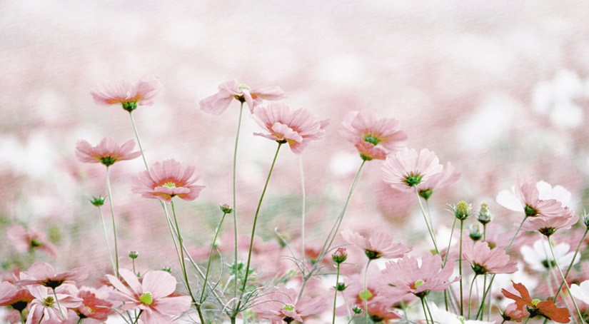 How can I cope better with everyday stress?